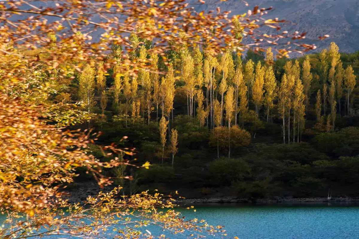 Hunza-Autumn-Tour