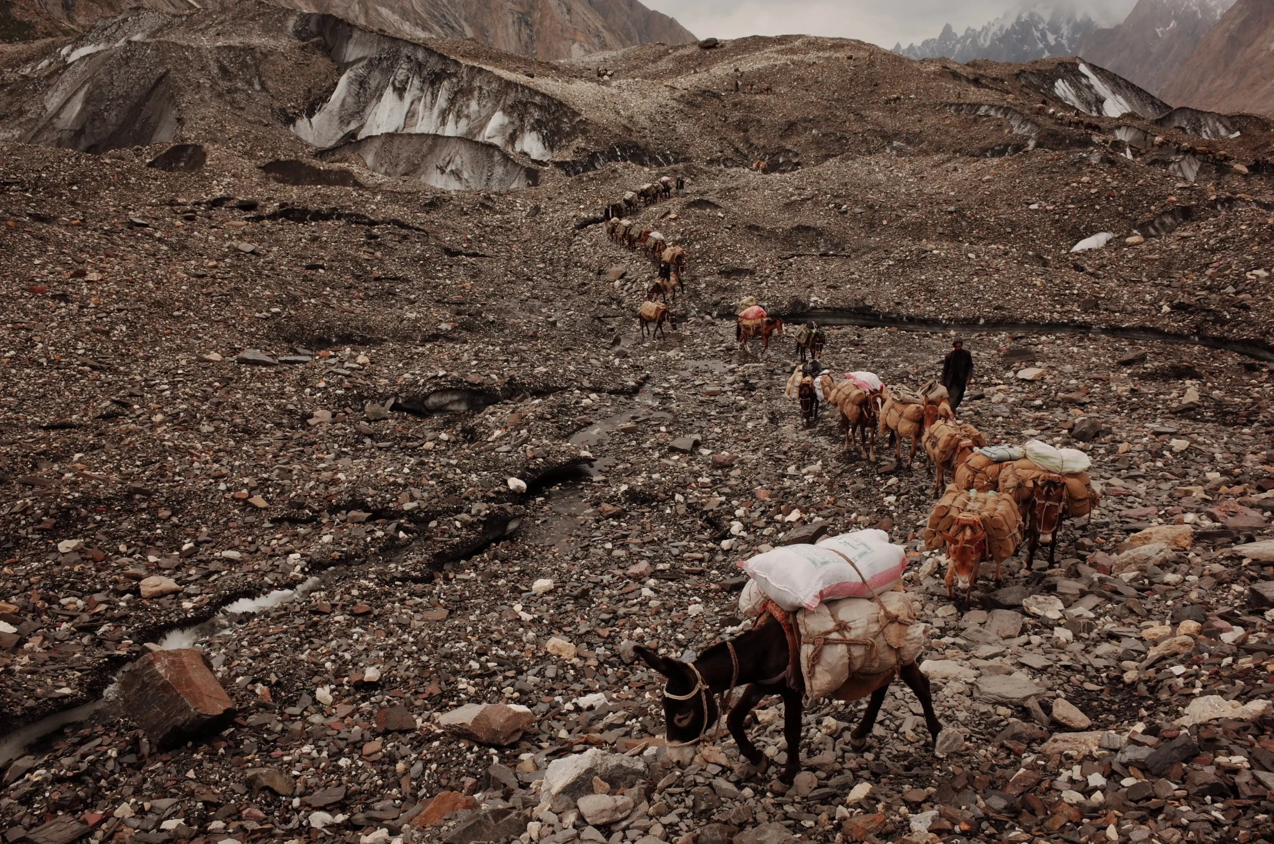 k2-gondogoro-la-trek-047