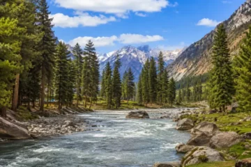 5 Days Naltar Valley Autumn Tour