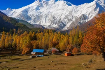 Fairy Meadows Autumn Tour